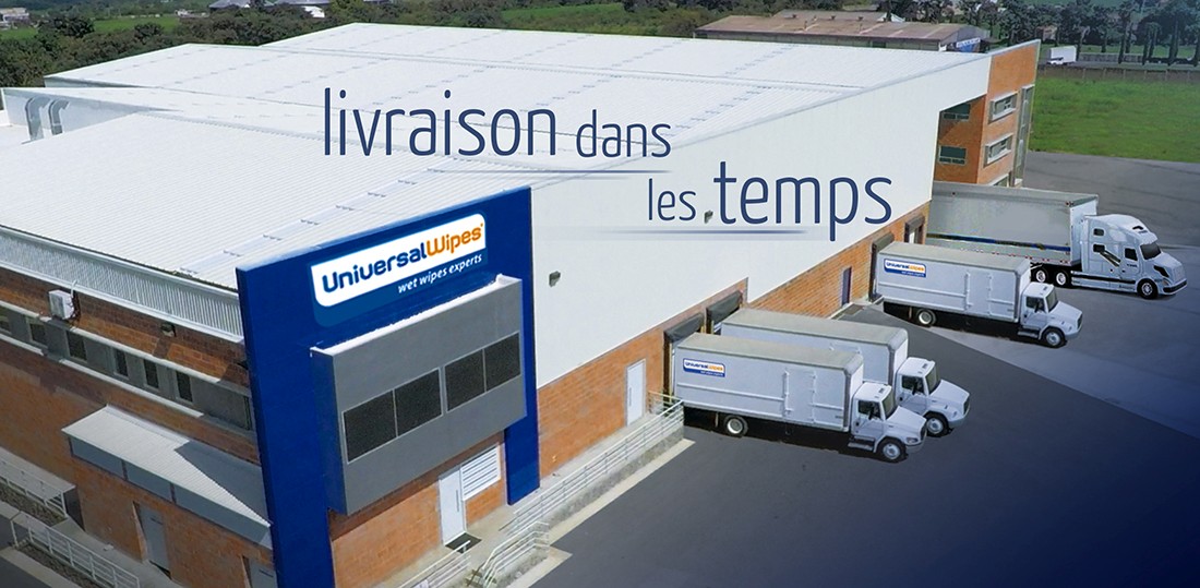 Precintos tipo Clavo y Cable de Acero