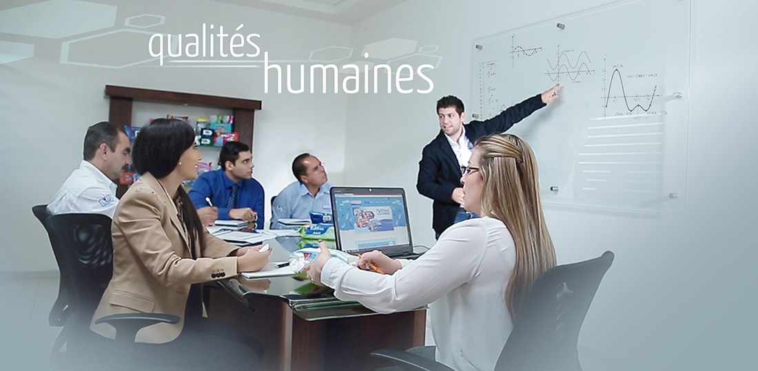 Precintos tipo Clavo y Cable de Acero