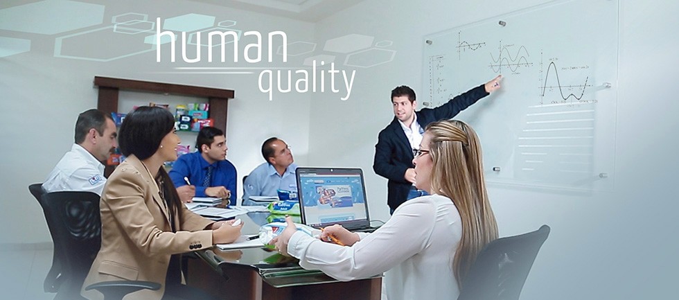 Precintos tipo Clavo y Cable de Acero